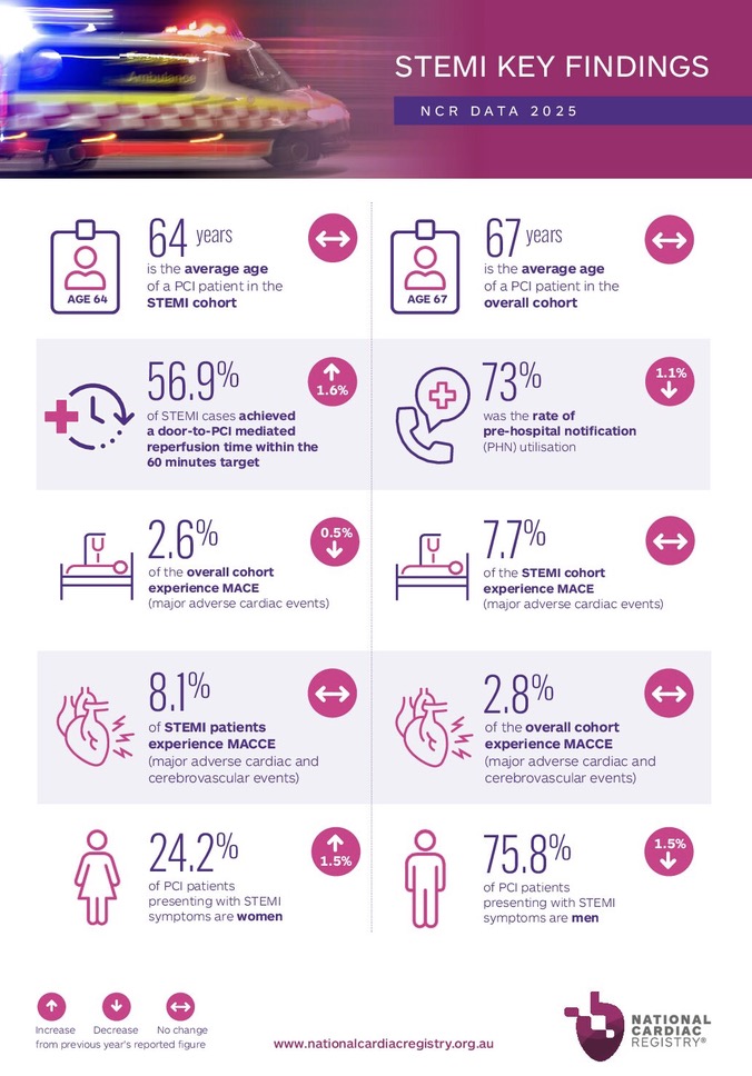 Factsheets 2025 Stemi Key Findings