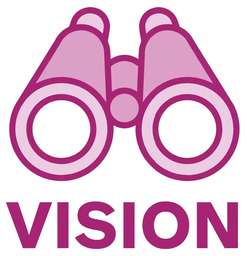 vision